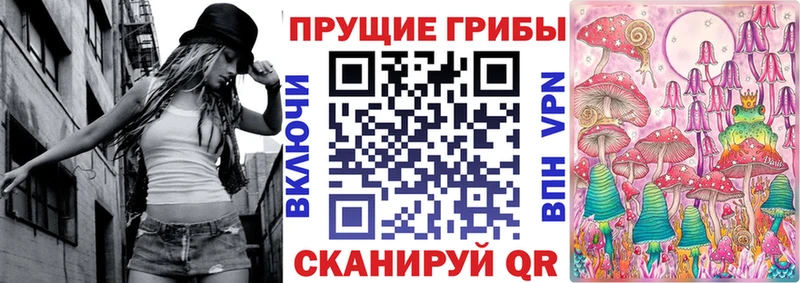 Псилоцибиновые грибы Psilocybe  Коломна 